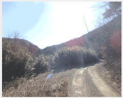  2024Ÿ��37675 ��� ���׽� �ϱ� ������ ĥ���� ��39     ����(�Ӿ�)���