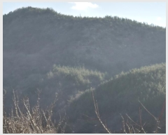  2024Ÿ��37675 ��� ���׽� �ϱ� ������ ĥ���� ��39     ����(�Ӿ�)���