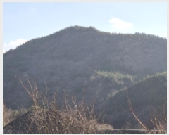  2024Ÿ��37675 ��� ���׽� �ϱ� ������ ĥ���� ��39     ����(�Ӿ�)���