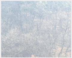  2024Ÿ��33044  �Ӿ߰��