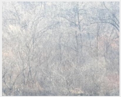  2024Ÿ��33044  �Ӿ߰��