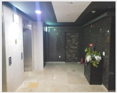  2024Ÿ��39813  ���ڽü����