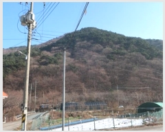  2024Ÿ41861 뱸 ޼ â 븮 233      (1)