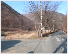  2024Ÿ41861 뱸 ޼ â 븮 233      (1)