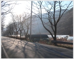  2024Ÿ41861 뱸 ޼ â 븮 233      (1)