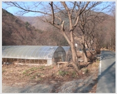  2024Ÿ41861 뱸 ޼ â 븮 233      (1)