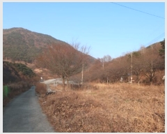  2024Ÿ41861 뱸 ޼ â 븮 233      (1)