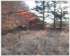  2024Ÿ41861 뱸 ޼ â 븮 233      (1)