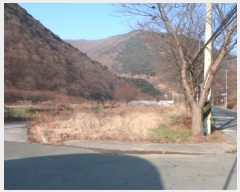  2024Ÿ41861 뱸 ޼ â 븮 233      (1)