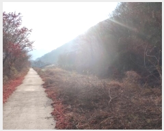  2024Ÿ41861 뱸 ޼ â 븮 233      (1)