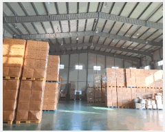  2024Ÿ��44525  ������