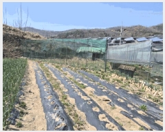  2024Ÿ45207  ɱ  ڰ 735      