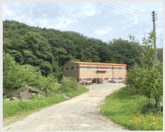  2024Ÿ��2675 ��� ���ֱ� ���׸� ���渮 237      ������