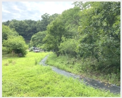  2024Ÿ��2675  �����