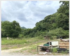  2024Ÿ��2675 ��� ���ֱ� ���׸� ���渮 237      ������