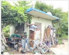  2024Ÿ��2675 ��� ���ֱ� ���׸� ���渮 237      ������