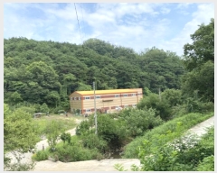  2024Ÿ��2675 ��� ���ֱ� ���׸� ���渮 237      ������