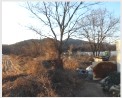  2024Ÿ5063  ɱ   245      ()