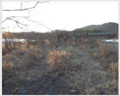  2024Ÿ5063  ɱ   245      ()