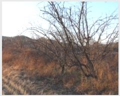  2024Ÿ5063  ɱ   245      ()