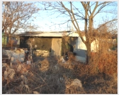  2024Ÿ5063  ɱ   245      ()