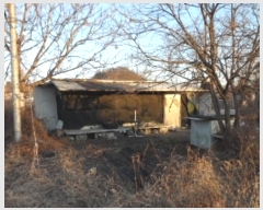  2024Ÿ5063  ɱ   245      ()