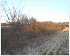  2024Ÿ5063  ɱ   245      ()