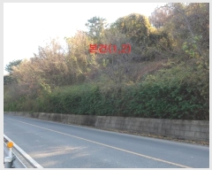  2024Ÿ42673 뱸 ޼ ǳ 긮 533-2      (Ӿ)