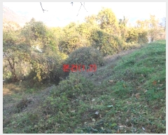  2024Ÿ42673 뱸 ޼ ǳ 긮 533-2      (Ӿ)