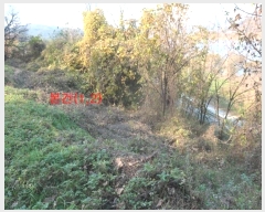  2024Ÿ42673 뱸 ޼ ǳ 긮 533-2      (Ӿ)