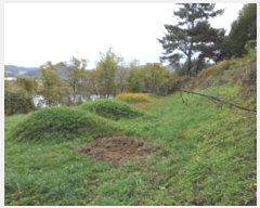  2024Ÿ42673 뱸 ޼ ǳ 긮 533-2      (Ӿ)