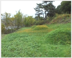  2024Ÿ42673 뱸 ޼ ǳ 긮 533-2      (Ӿ)