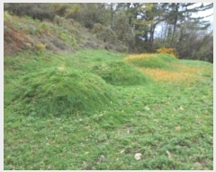  2024Ÿ42673 뱸 ޼ ǳ 긮 533-2      (Ӿ)