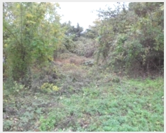  2024Ÿ42673 뱸 ޼ ǳ 긮 533-2      (Ӿ)