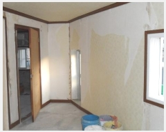  2024Ÿ42758 뱸  򸮵 1179-23       ð