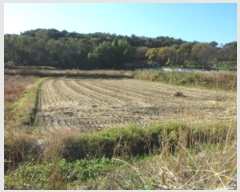  2024Ÿ42918 뱸 ޼  ϸ 165      ()