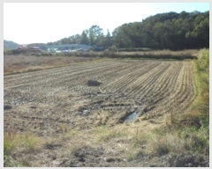  2024Ÿ42918 뱸 ޼  ϸ 165      ()