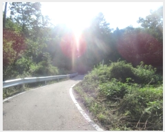  2024Ÿ38902  ֱ ݼ 긮 973      ð