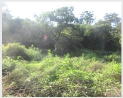  2024Ÿ38902  ֱ ݼ 긮 973      ð