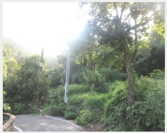  2024Ÿ38902  ֱ ݼ 긮 973      ð