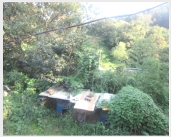  2024Ÿ38902  ֱ ݼ 긮 973      ð