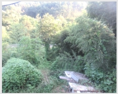  2024Ÿ38902  ֱ ݼ 긮 973      ð