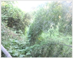  2024Ÿ38902  ֱ ݼ 긮 973      ð