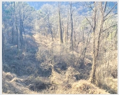  2024Ÿ43607 뱸 ޼ ǳ ڸ 458      (1)