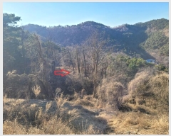  2024Ÿ43607 뱸 ޼ ǳ ڸ 458      (1)