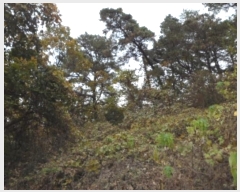  2024Ÿ43607 뱸 ޼ ǳ ڸ 458      (1)