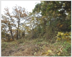  2024Ÿ43607 뱸 ޼ ǳ ڸ 458      (1)