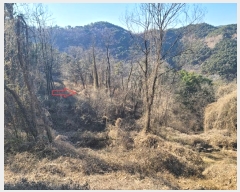  2024Ÿ43607 뱸 ޼ ǳ ڸ 458      (1)