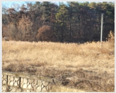  2024Ÿ��43836 ��� ���ֱ� ������ ���и� 766      ����(��)���