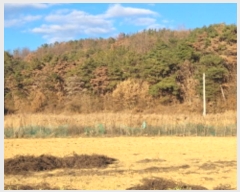  2024Ÿ��43836 ��� ���ֱ� ������ ���и� 766      ����(��)���